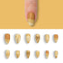 VIM_almond