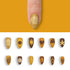 VIM_almond