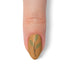 VIM_almond