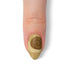 VIM_almond