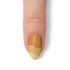 VIM_almond