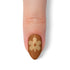 VIM_almond