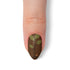 VIM_almond