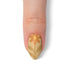 VIM_almond
