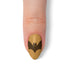 VIM_almond