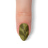 VIM_almond