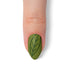 VIM_almond