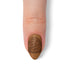 VIM_almond