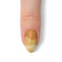 VIM_almond