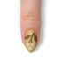 VIM_almond