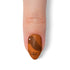 VIM_almond