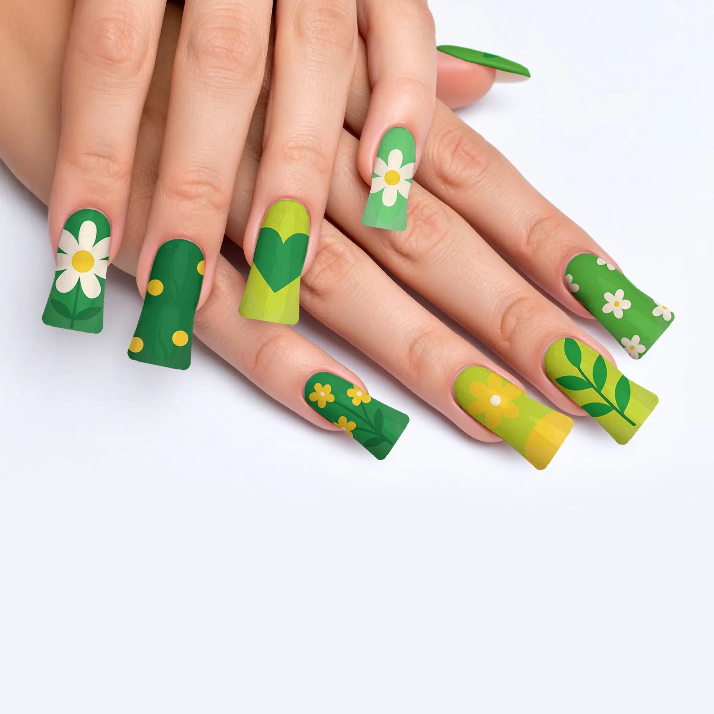 VIM_duck