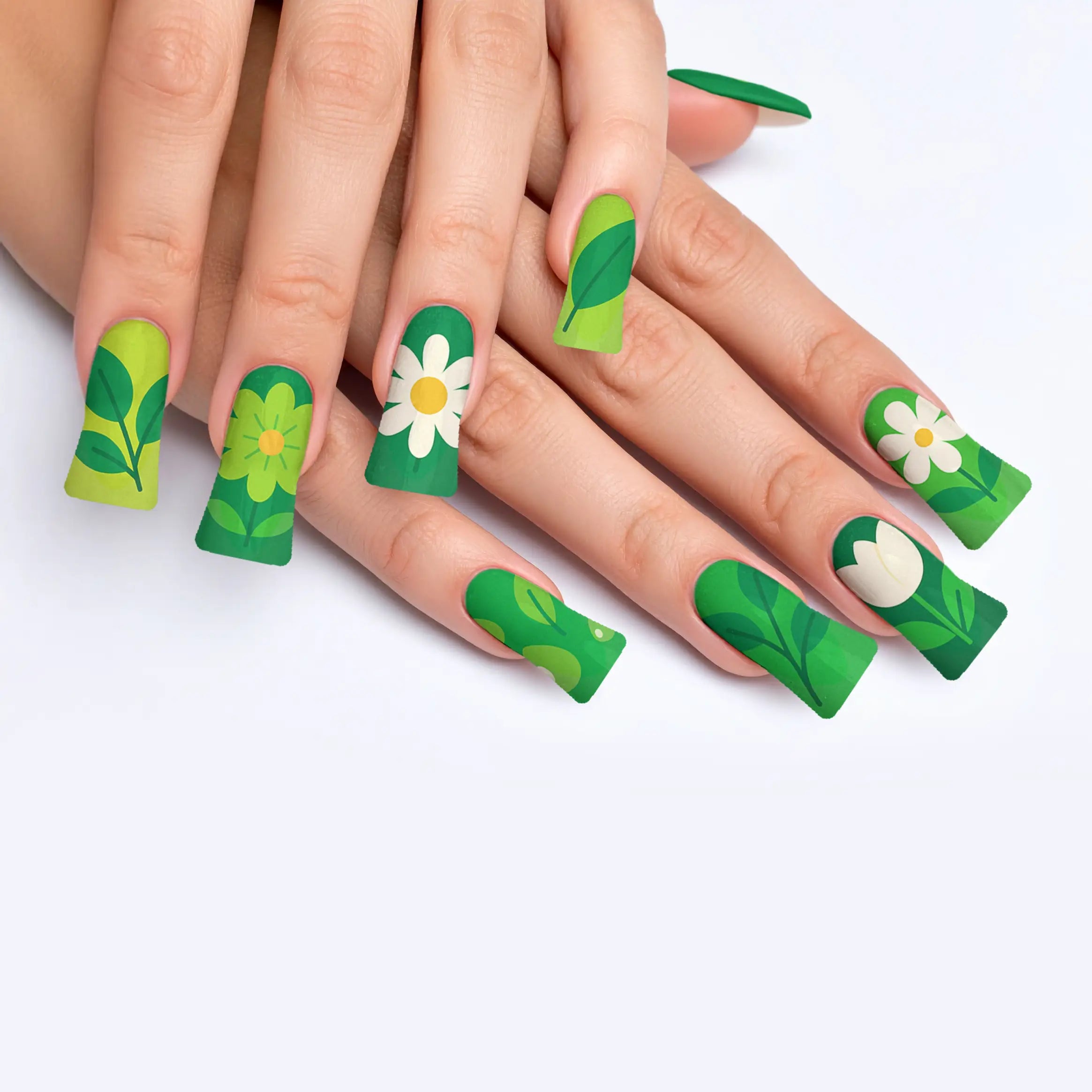 VIM_duck