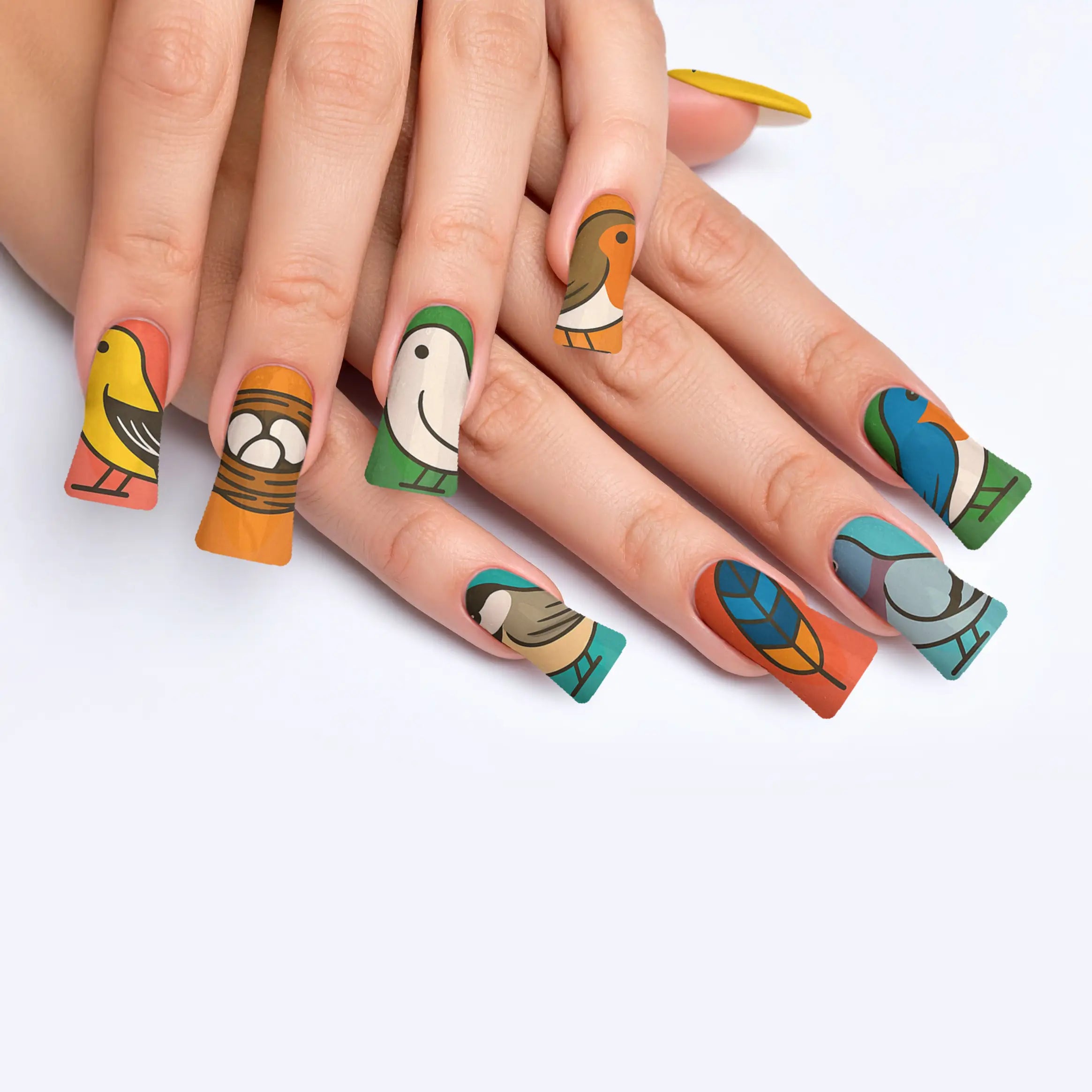 VIM_duck