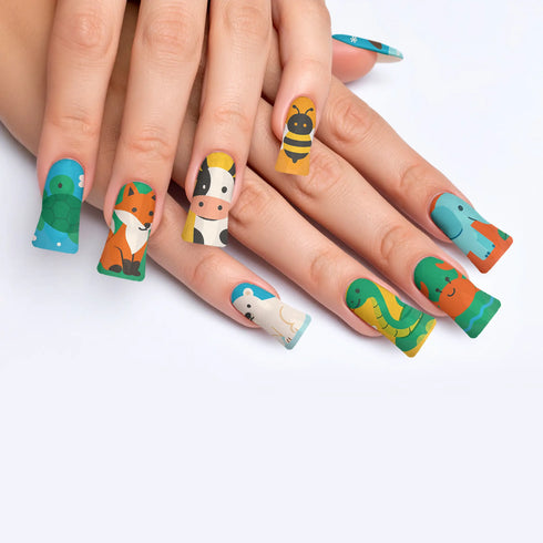VIM_duck