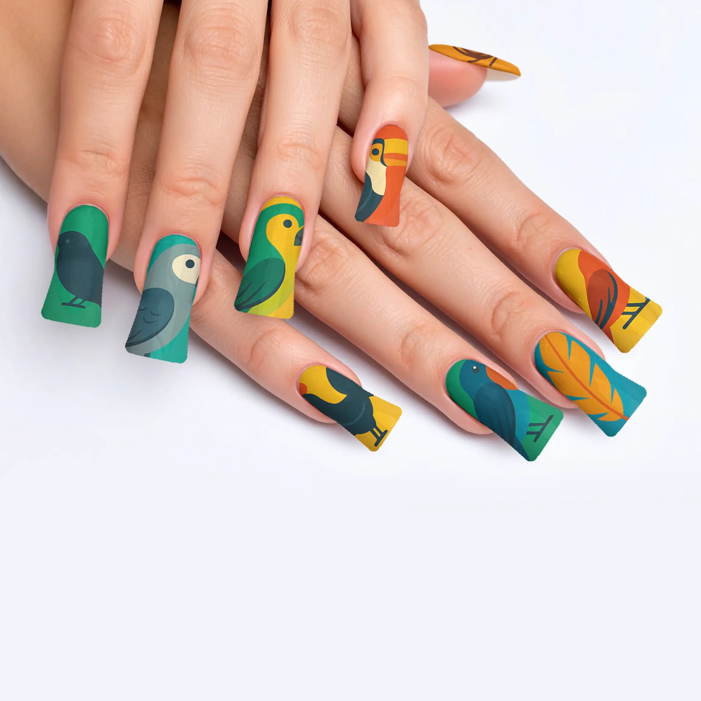 VIM_duck