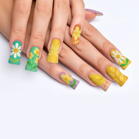 VIM_duck