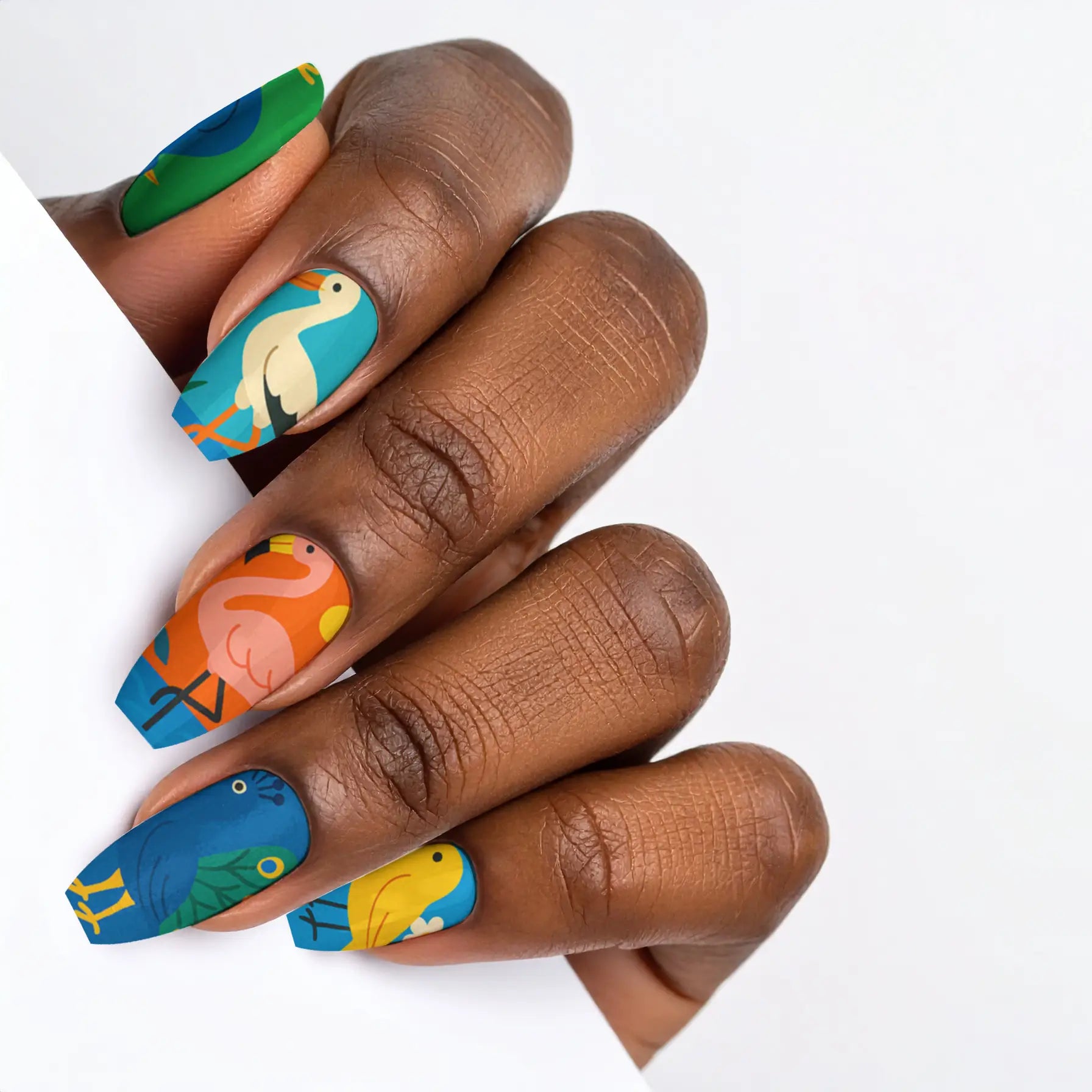 VIM_medium-ballerina