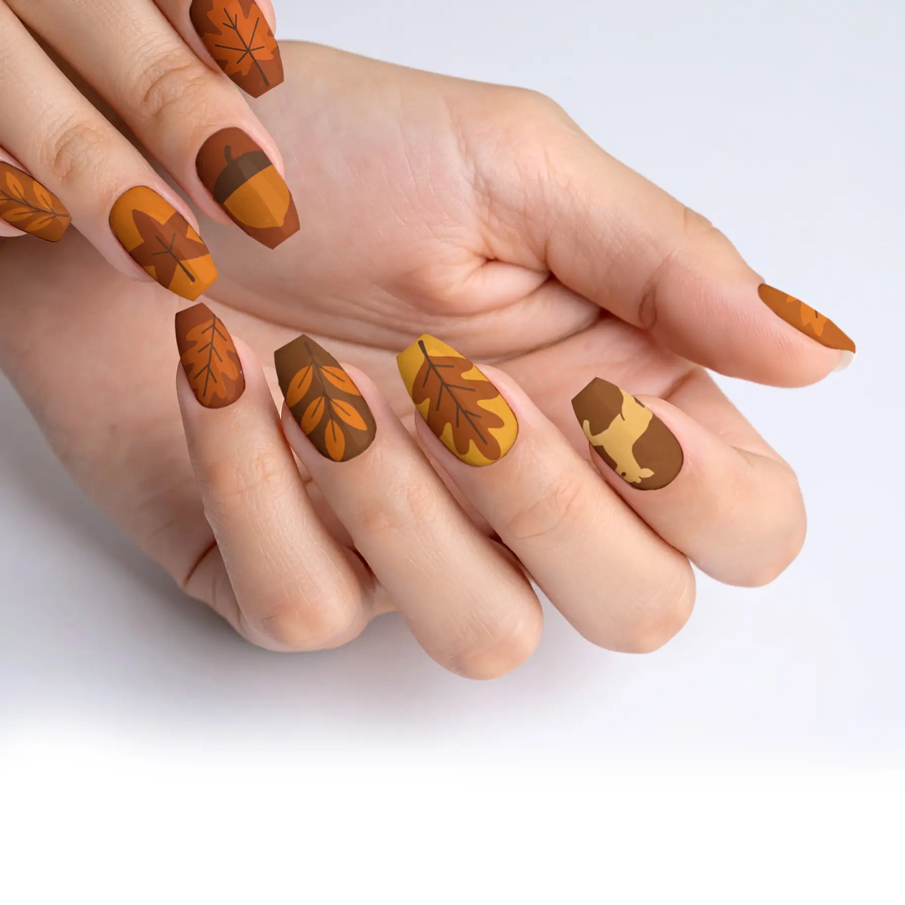 VIM_medium-ballerina