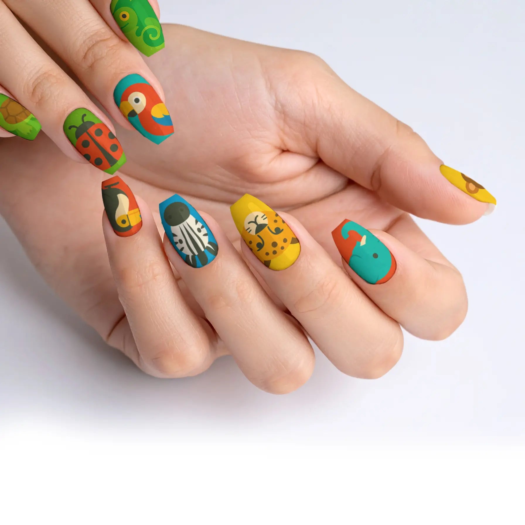 VIM_medium-ballerina