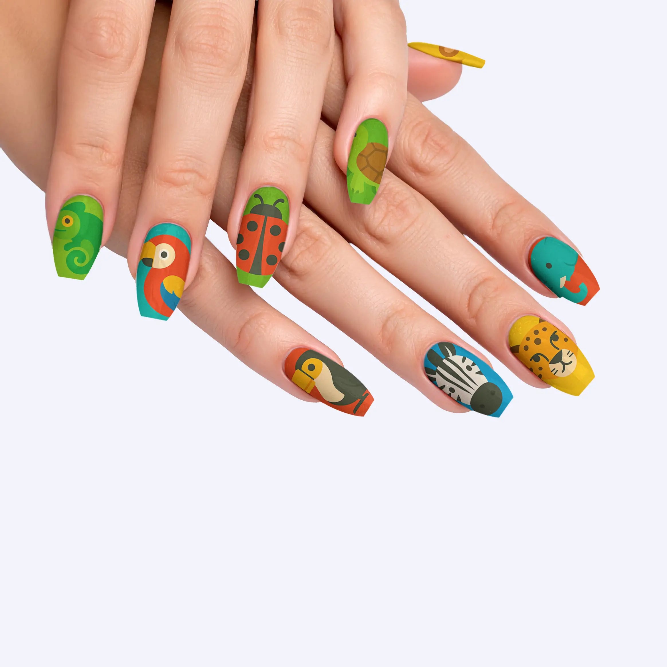 VIM_medium-ballerina