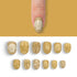 VIM_oval