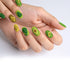 VIM_oval