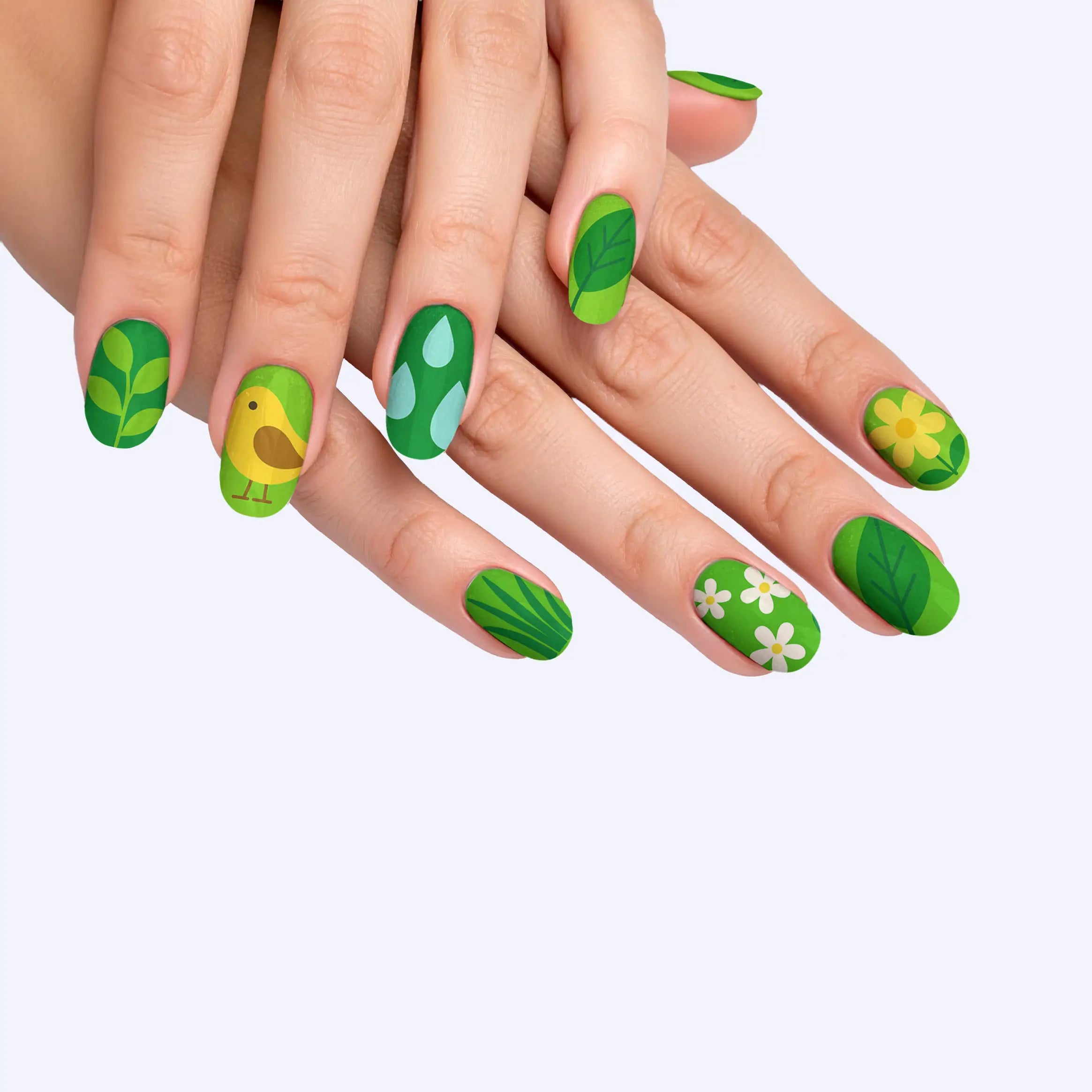 VIM_oval