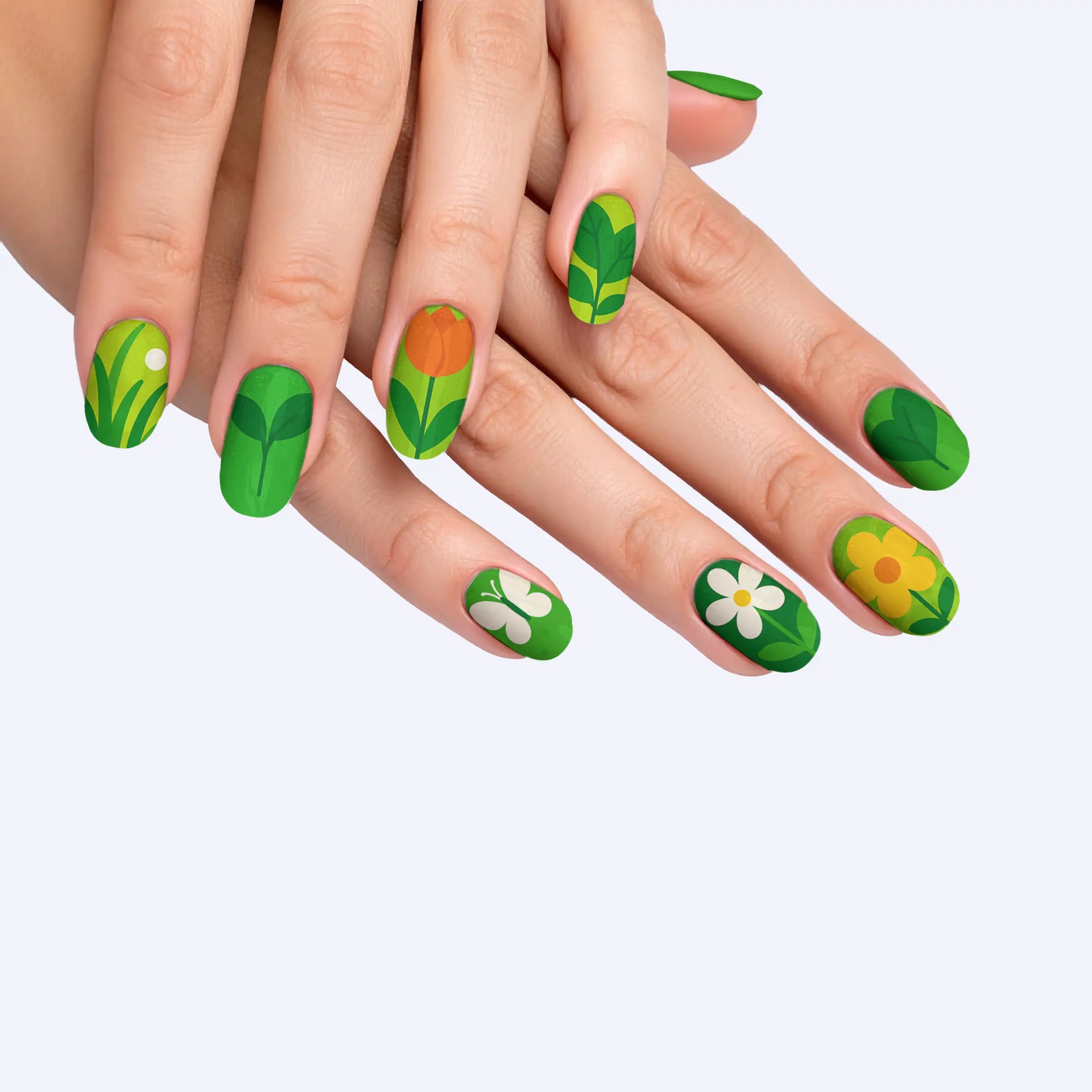 VIM_oval
